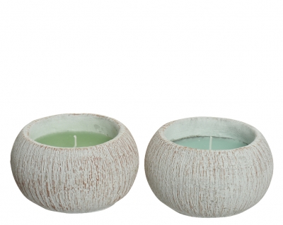   Citronella 14.6   2 