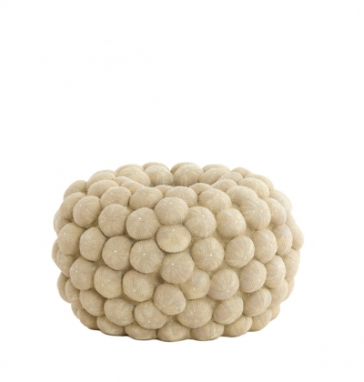 Sea Urchin   40 x 23,5