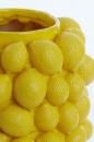  Lemon   31 x 41 