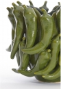  Pepper    25,5 x 24,5 