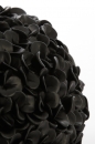  Phylia   38 x 23 