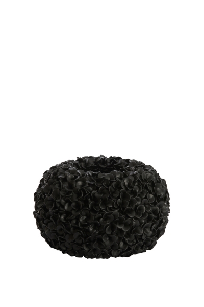 Phylia   38 x 23
