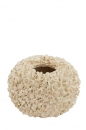  Phylia   38 x 23 