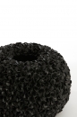  Phylia   47.5 x 30 