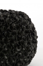  Phylia   47.5 x 30 