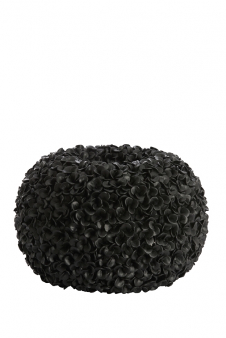 Phylia ������������ ���� �47.5�� x 30��