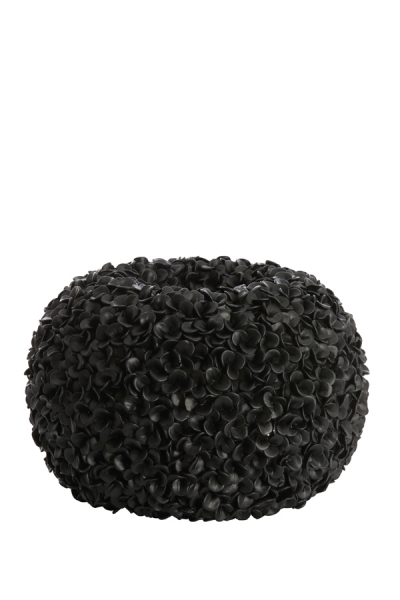Phylia   47.5 x 30
