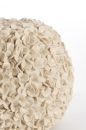  Phylia   47.5 x 30 
