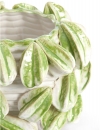  Carambola   35,5 x 33 