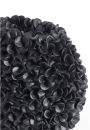  Phylia   31,5 x 17 