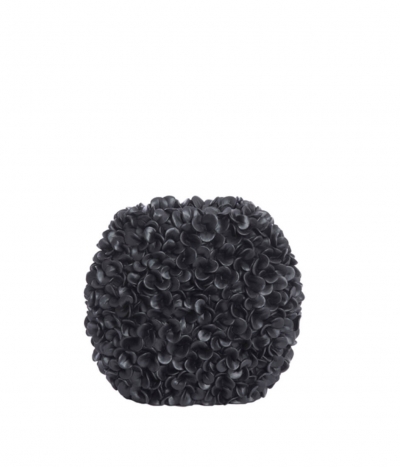Phylia   31,5 x 17