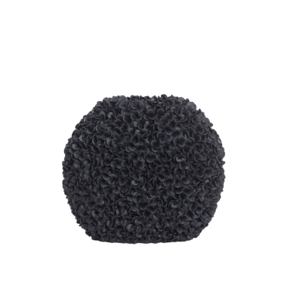 Phylia   52 x 23