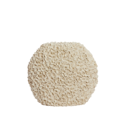Phylia   52 x 23