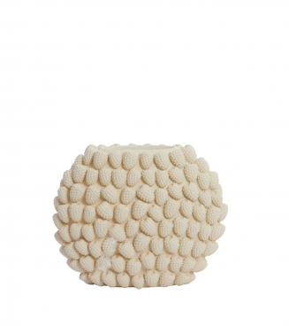 Raspberry ������������ ���� 32,5�� x 28,5��