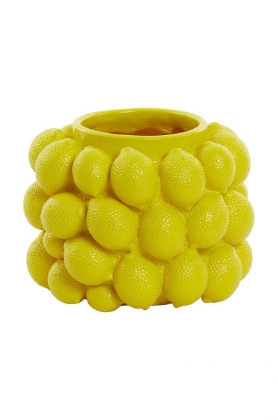 Lemon   24.5 x 18