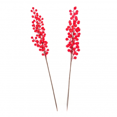   Berries 61  2 