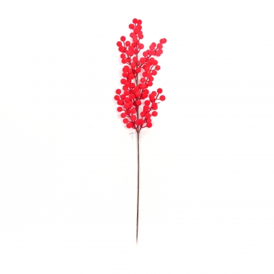   Berries 70