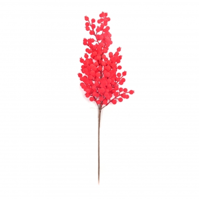   Berries 70