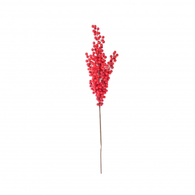   Berries 107