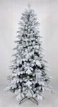     Snow - White  2,40 