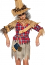    Sinister Scarecrow 