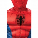  ����������� ����� Spiderman Deluxe 