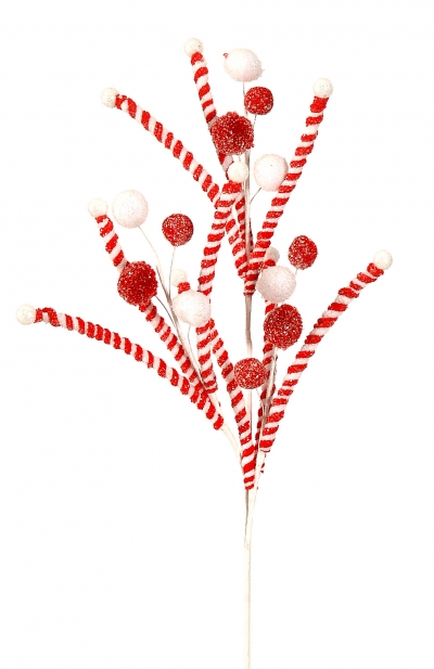    67