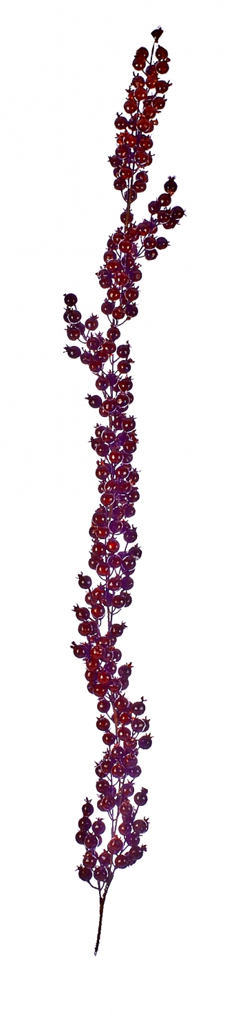 ����������������� �������� �� ������� Berries 135 ��