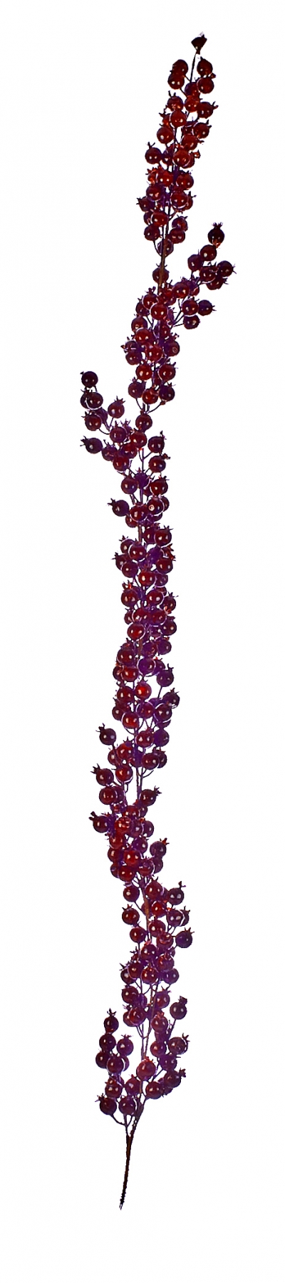     Berries 135 
