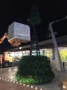    Giant Tree 9m 