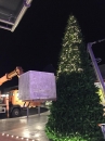    Giant Tree 9m 