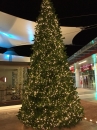    Giant Tree 9m 