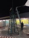    Giant Tree 10,5 