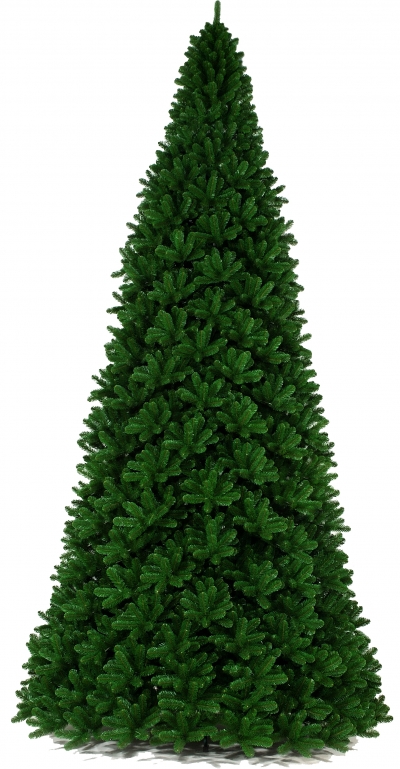   Giant Tree 10,5