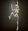     50  