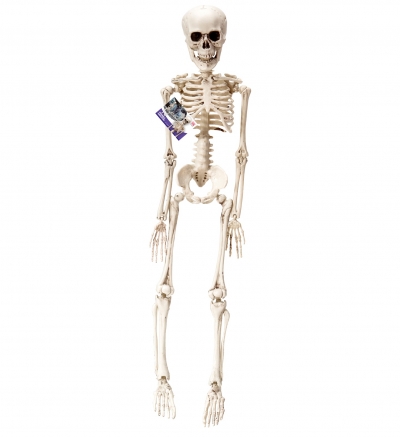    50 