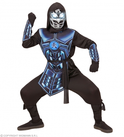  Cyber Ninja