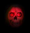    Skeleton Bride 105 