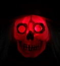   Skeleton Groom 105 
