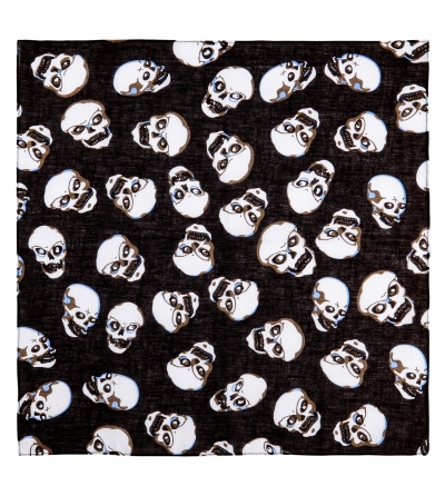     55 x 55