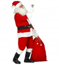    Professional Santa Claus 