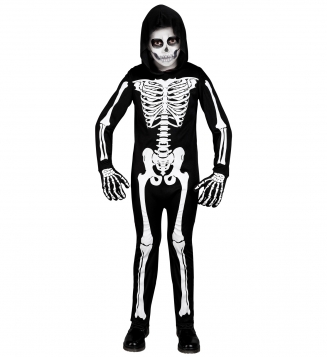   Skeleton