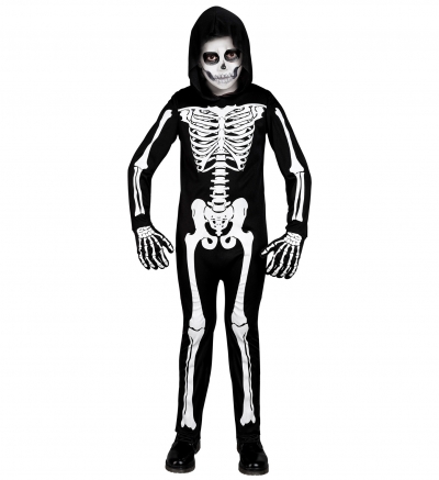   Skeleton