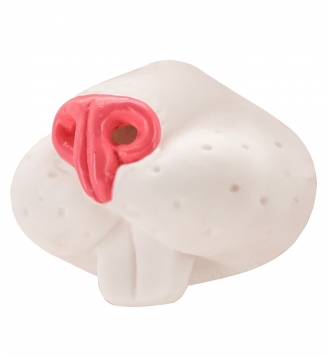 ����������� �������� ���� ���������