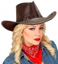     Cowboy 