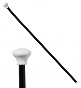 ����������� ��������� ��������� 81��