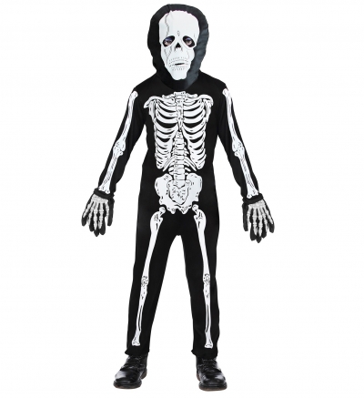   Skeleton