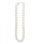  ����������� �������� ����� �� ������� ������ 