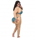    Miss Bikini 