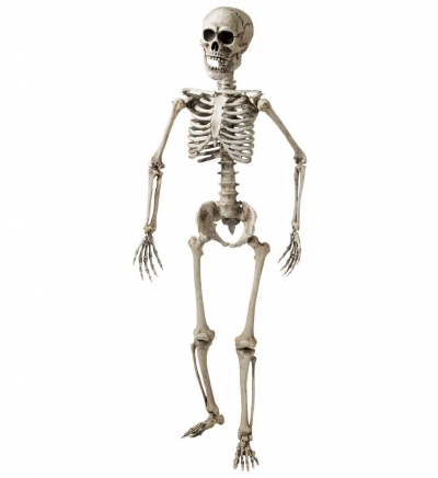    160 